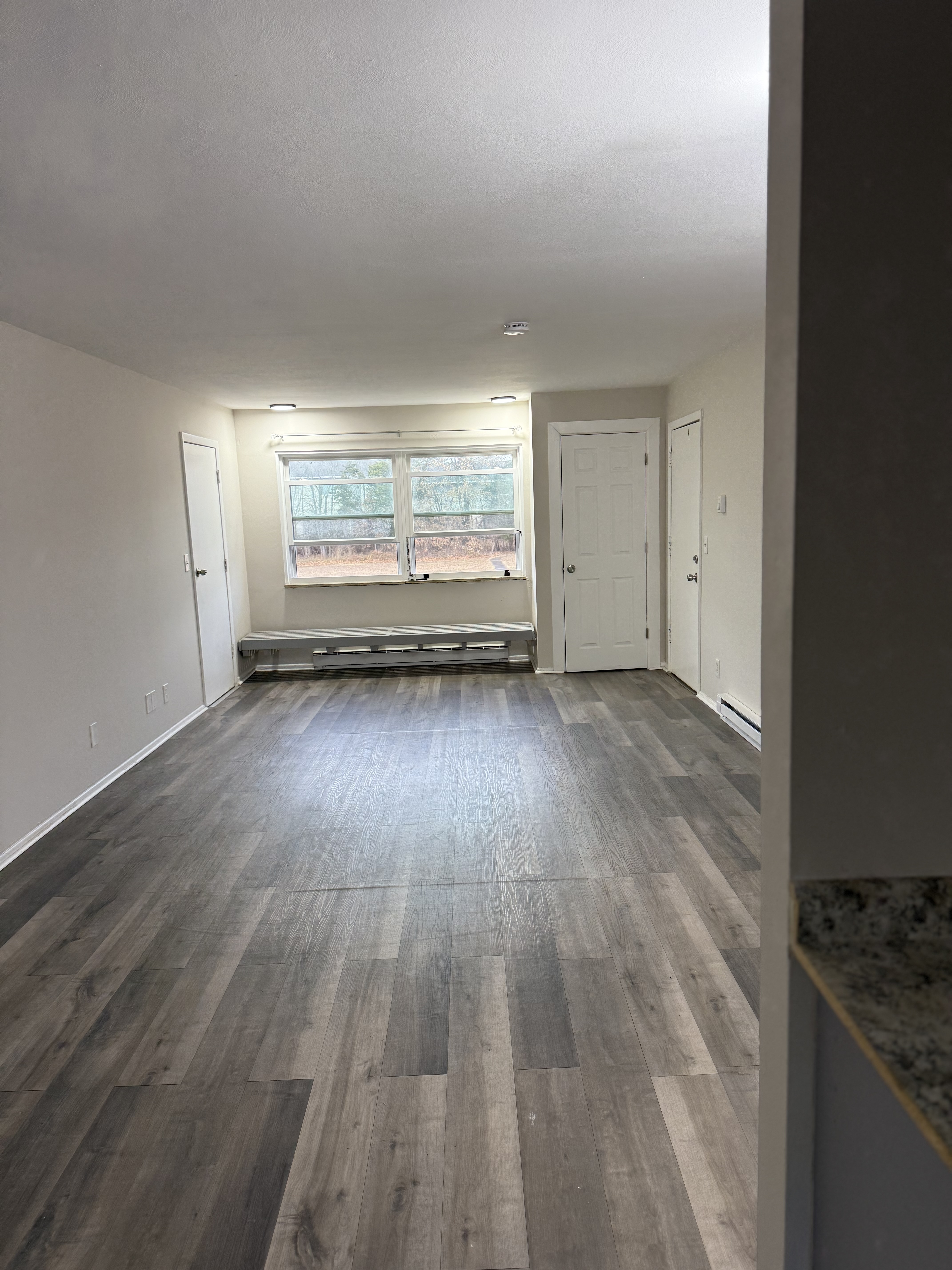 Carbondale neighborhood